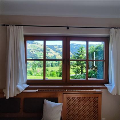 Fenster-2