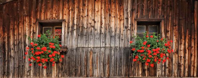 Fenster mit Blumen