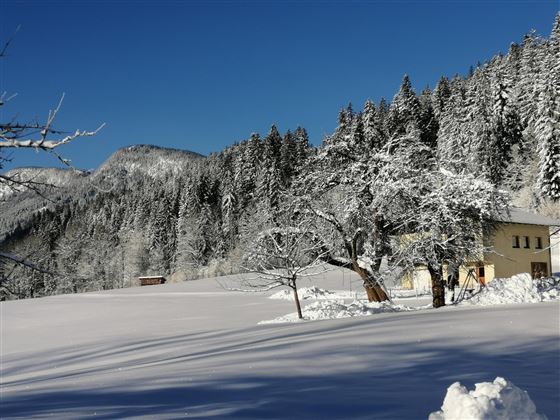 Ferienhaus im Schnee