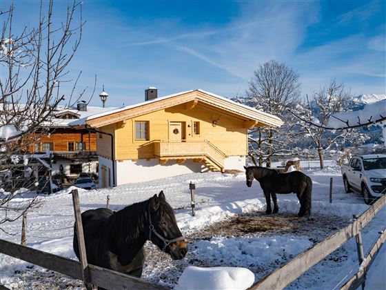 Ferienhaus Weberhof_hinten