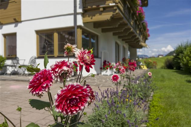 Ferienwohnung Blume