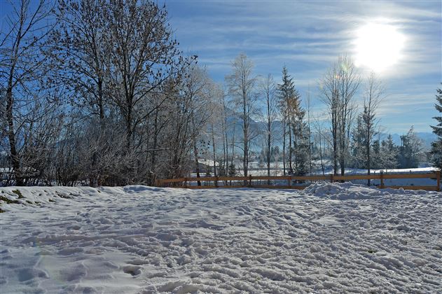 A snowy landscape with bright sunshine and snow-covered trees. The sky is clear and blue, creating a peaceful winter atmosphere.