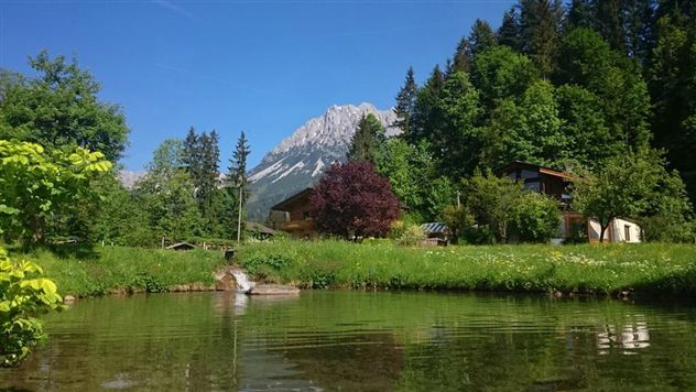 Een rustige vijver omringd door weelderig groen en bomen. Op de achtergrond zijn bergen en een klare, blauwe lucht zichtbaar.