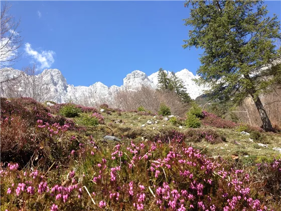 Frühling