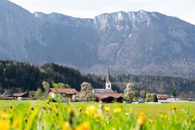 A picturesque landscape with blooming meadows and a small village in the foreground. In the background, majestic mountains rise under a clear sky.