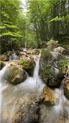 Frühling Spatlahner Klamm