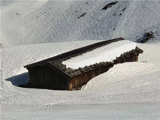 Frühlingsschnee