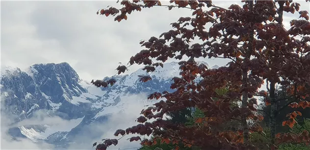 Frühsommer Wilder Kaiser