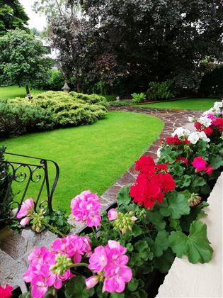Garten