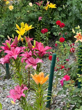 Garten