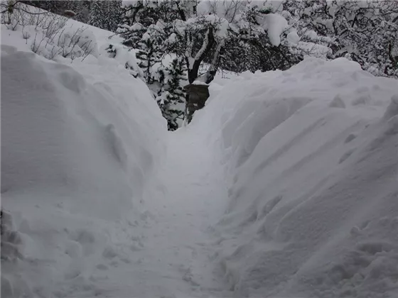 Garten bei viel Schnee