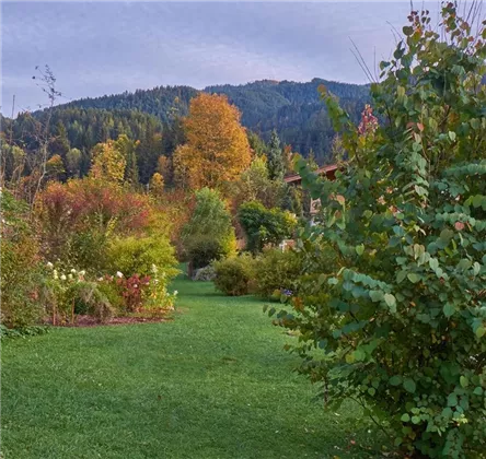 garten im Herbst