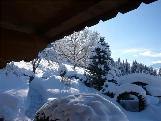 Garten im Winter