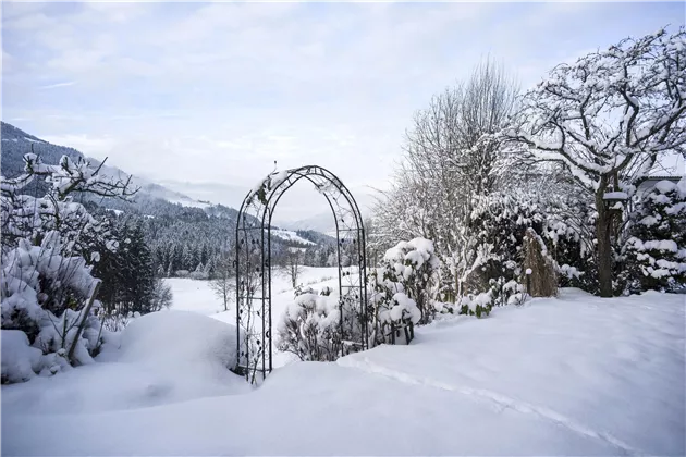 Garten im Winter