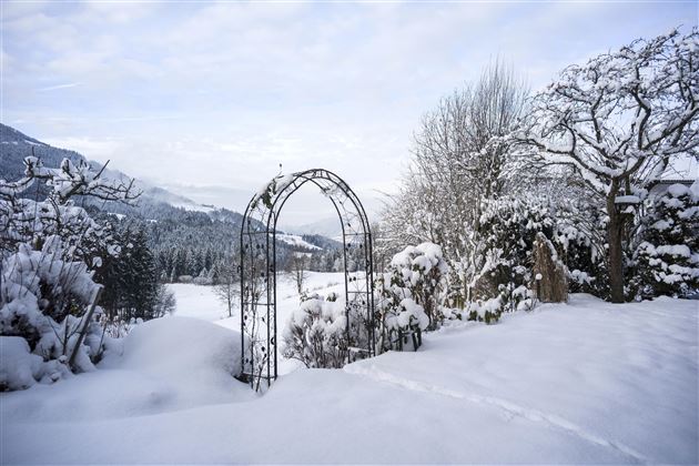 Eine schneebedeckte Landschaft mit einem Gartenbogen und verschneiten Pflanzen. Der Himmel ist grau und die Berge sind in der Ferne sichtbar.