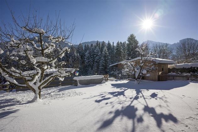 Eine verschneite Winterlandschaft mit einem Baum im Vordergrund. Die Sonne scheint hell über die Berge und den schneebedeckten Boden.