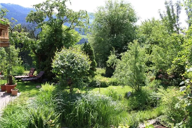 Gartenausblick vom Stiegenabgang