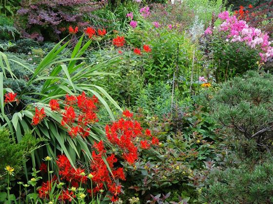 Gartenparadies