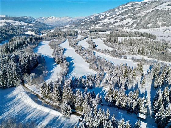 Golfplatz im Winter 2024/25