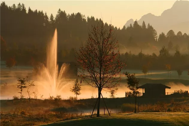 Golfplatz Wilder Kaiser