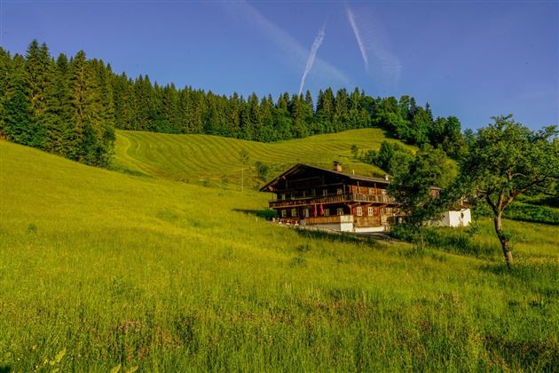 Großmutters Haus - vista de la casa en junio