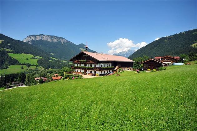 Gruenholz Sommer