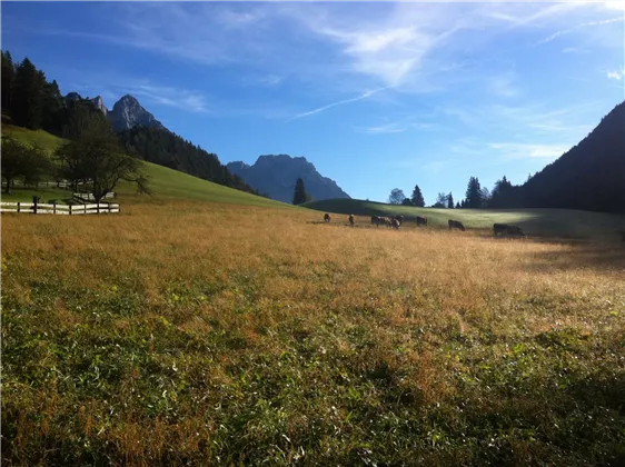 Hagenhof_Herbst