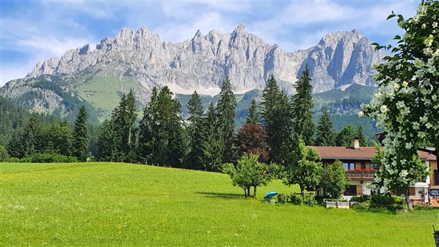Haidhof im Juni