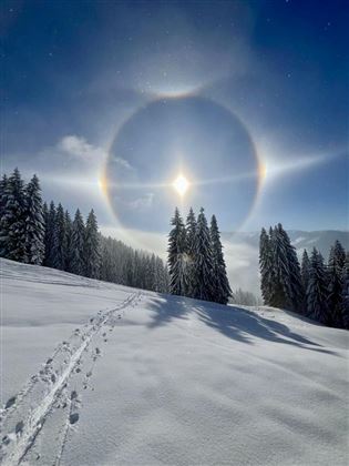 Haloerscheinung Winter