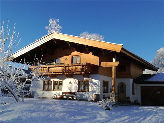 A beautiful wooden house in Alpine style, surrounded by snow-covered trees. The clear blue sky gives the scene a peaceful atmosphere.