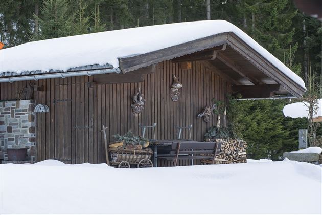 Haus-Malerwinkl-Top2-Huette