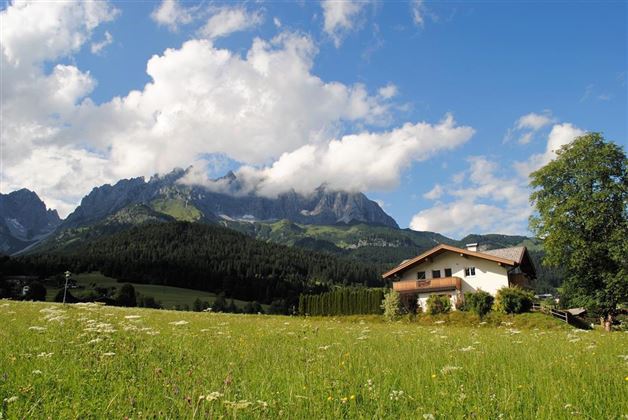 A peaceful countryside landscape with mountains in the background. The sky is blue with some clouds and the meadow is green and blooming.