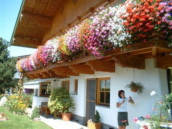 haus sommer