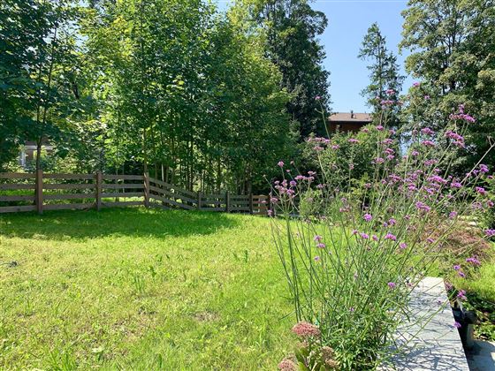 Haus Widmann Sommer/ Summer 6