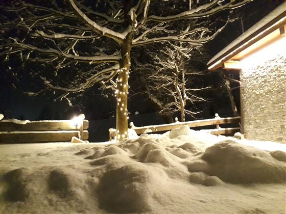 Eine verschneite Landschaft bei Nacht mit einem beleuchteten Baum. Im Hintergrund ist ein Gebäude zu sehen.