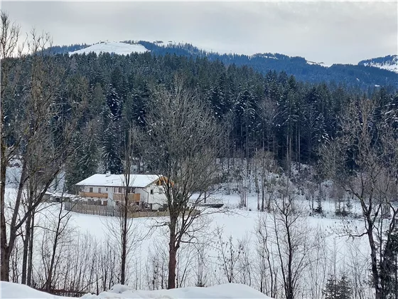 Hausansicht mit dem Hartkaiser im Hintergrund