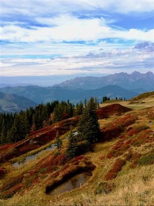Herbst