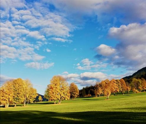Herbst