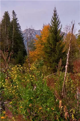 herbst-garten