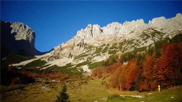 Herbst Wilder Kaiser