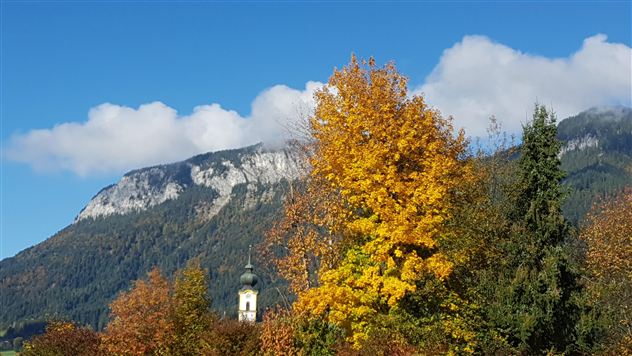 An autumn landscape with colorful trees and a clear blue sky. In the background, a mountain is visible.