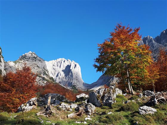 Herbststimmung