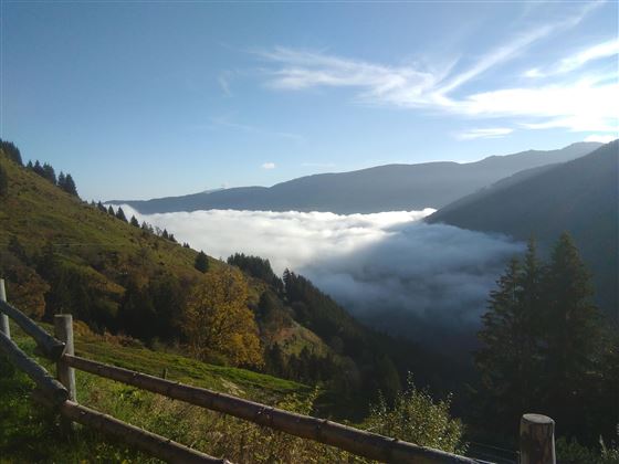 Herbststimmung