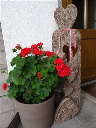 Herzbrett mit Blumen 2475x3300