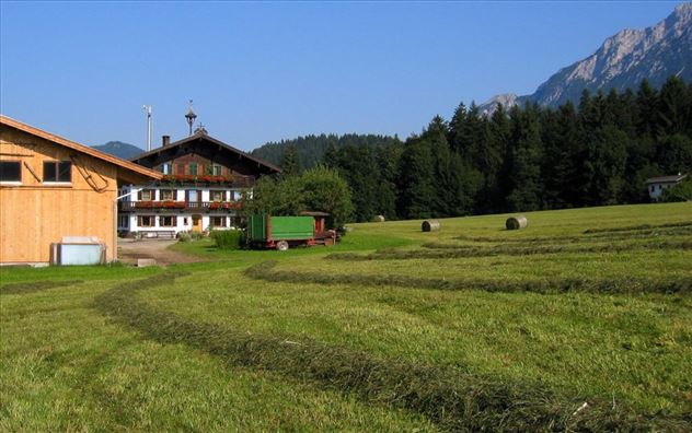 Heuarbeit am Hof