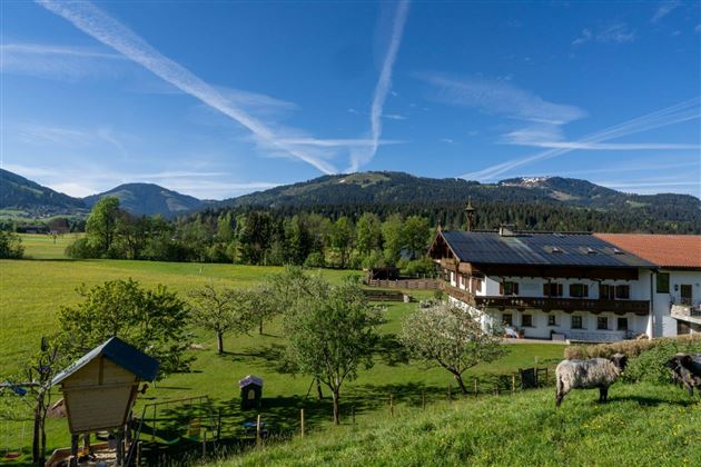 Hinterwaldhof-Blick von der Schafweide