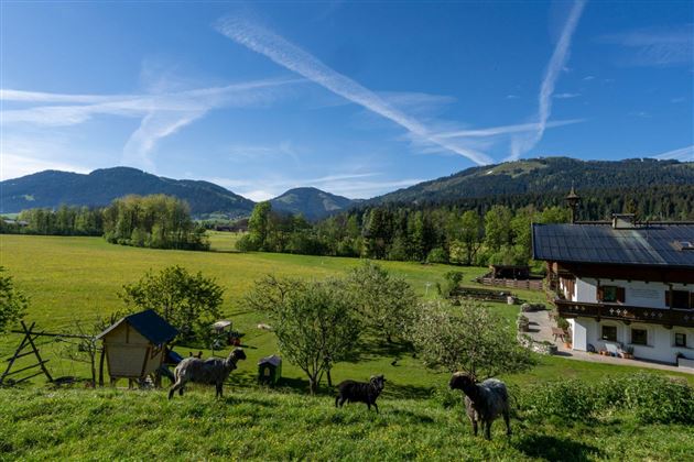 Hinterwaldhof-Blick von der Schafweide 2