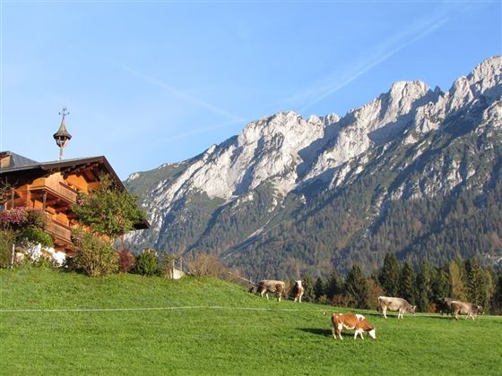 Hirschbichlhof mit Wilder Kaiser