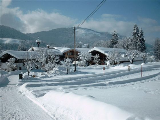 Een besneeuwd landschap met gezellige houten huizen en met sneeuw bedekte bomen. De heldere lucht en de bergachtergrond geven de scène een rustige sfeer.