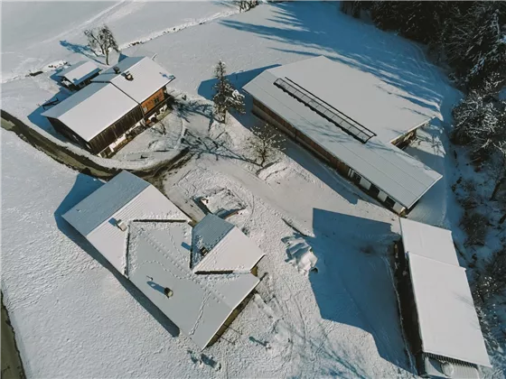 Farm from above